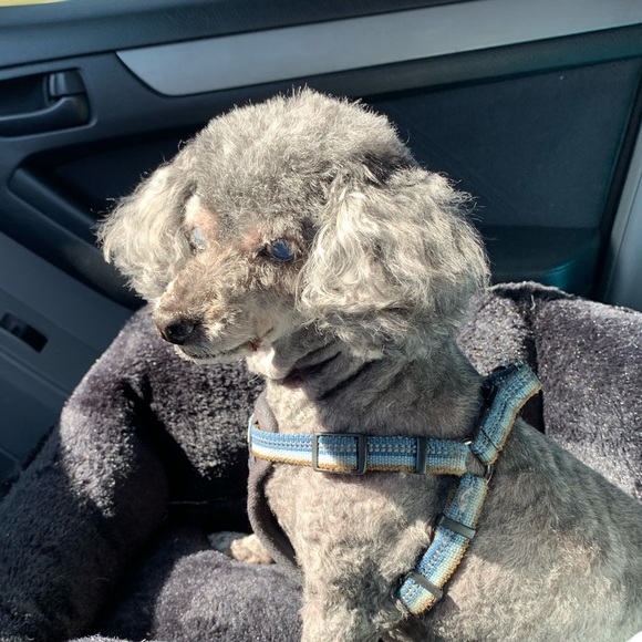 @tt1342 Giveaway Snack, Starbucks or Stickers? - Picture 8 of 15